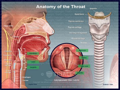 Deep Throat Erotic massage Al Jahra 
